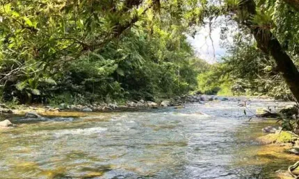 Chácara / sítio à venda na Estrada Rural, Zona Rural, Morretes