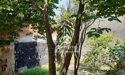Terreno à venda, 205 m² por R$ 850.000,00 - Vila Assunção - Santo André/SP