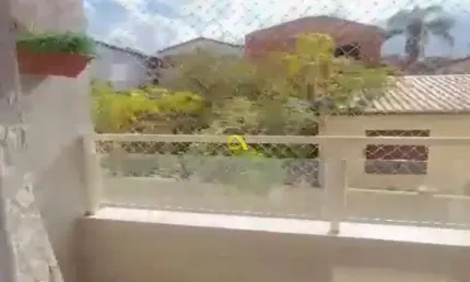 Apartamento para alugar, no bairro piracicamirim, mobiliado com 55m²