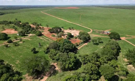 Fazenda com 3 salas à venda na Rua Capitão Speridião 571, 2, Centro, João Pinheiro