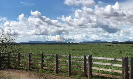 Extraordinária Fazenda à venda em Santa Terezinha, MT, 20.303,00 hectares.