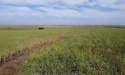 Fazenda de luxo à venda em Araçatuba-SP: 4 quartos, 1 suíte, 3 salas, 4 banheiros, 20 vagas de garagem, 402 hectares de área.