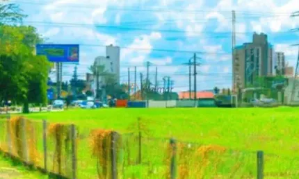 Terreno comercial de 2.696m² em jardim das paineiras, campinas-sp: venda ou locação!