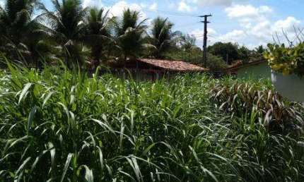 Granja para venda mobiliada possui 400 metros quadrados com 3 quartos em Centro - Conde - PB