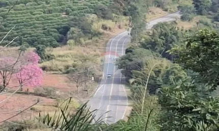 Seu Refúgio em Socorro: Terreno Residencial à Venda