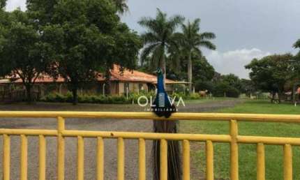 Sítio à venda, 84700 m² por R$ 3.990.000,00 - Zona Rural - Nhandeara/SP