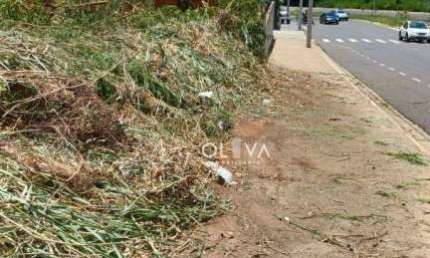 Terreno para alugar, 260 m² por R$ 1.300/mês - Jardim Maracanã - São José do Rio Preto/SP