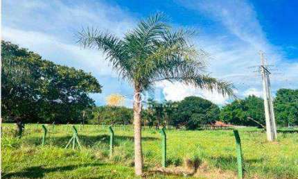 Terreno à venda, 2219 m² por R$ 180.000,00 - Centro - Cardoso/SP