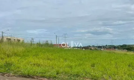Terreno à venda, 220 m² por R$ 68.000,00 - Jardim dos Ipês - Bady Bassitt/SP
