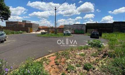 Terreno à venda, 330 m² por R$ 235.000 - Vila Angélica - São José do Rio Preto/SP