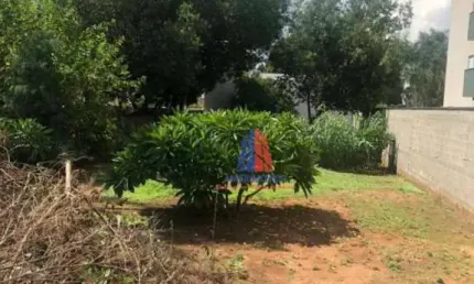 Terreno para alugar, 500 m² por R$ 1.500,00/mês - Vila Dainese - Santa Bárbara D'Oeste/SP