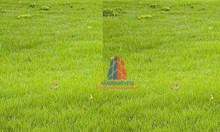 Terreno para alugar, 312 m² por R$ 1.000,00/mês - Vila Dainese - Americana/SP