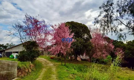 Terreno à venda na ..., são pedro, contenda por r$ 1.200.000