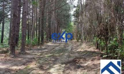 Chácara / sítio com 2 quartos à venda na Alameda das Águas, 1000, Olho D'Água, Mairiporã por R$ 2.200.000