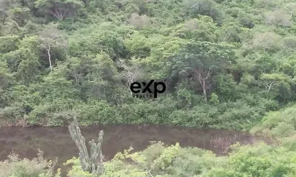 Fazenda à venda na fazendas santamaria i e ii, 1, santa maria i e ii, mundo novo por r$ 8.100.000