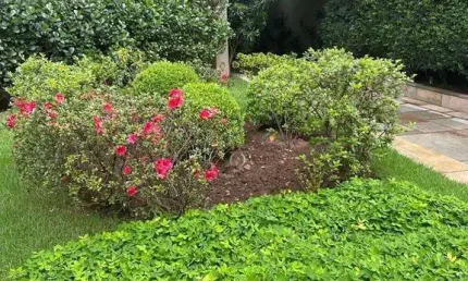 Maravilhoso apartamento bem localizado na região central