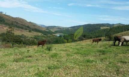 Sítio Tranquilo em Piracaia - 8 Alqueires com Vista para Represa