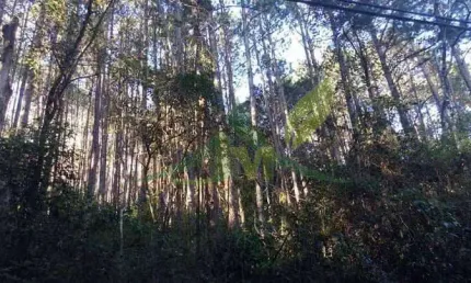 Terreno à venda na Estrada Do Clube Da Montanha, 00, Portão, Atibaia