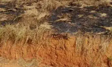 Terreno à venda na Estrada da Peinha, Chácara Bananal, Arujá