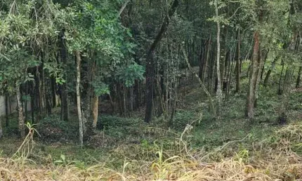 Terreno à venda em Pirucaia, Mairiporã 