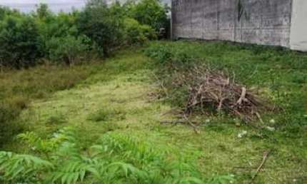 Terreno para Venda em Guarulhos, Jardim Vila Galvão
