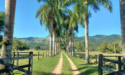 Fazenda para Gado de Leite ou Corte, 6.000.000 m2, Silva Jardim, RJ