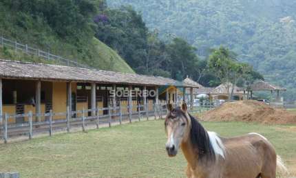 Sítio 3 Suítes, Bela Vista, Cachoeira, Rio, Lago, 1.394.000m2, Serrinha, Teresópolis, RJ