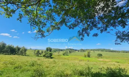 Fazenda 52 Alqueires (2.516.800 m2), 400 Cabeças, Água Abundante, Araruama, RJ