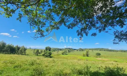 Fazenda 52 Alqueires (2.516.800 m2), 400 Cabeças, Água Abundante, Araruama, RJ