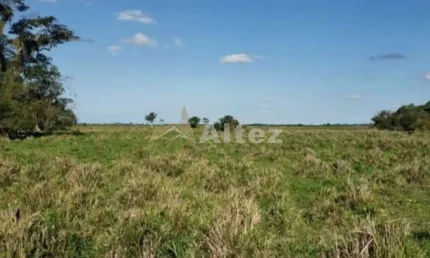 Fazenda Inteiramente Plana, 91,8 Alq (444,4 ha), Campos dos Goytacazes, RJ