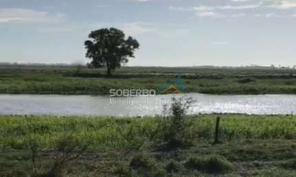 Fazenda Inteiramente Plana, 91,8 Alq (444,4 ha), Campos dos Goytacazes, RJ
