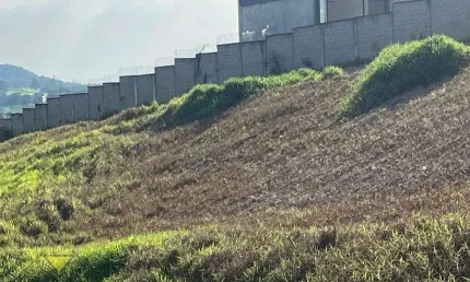 Terreno residencial à venda, cézar de souza, mogi das cruzes - te0169.