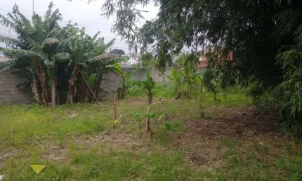 Terreno residencial à venda, jardim cecília, mogi das cruzes - te0193.