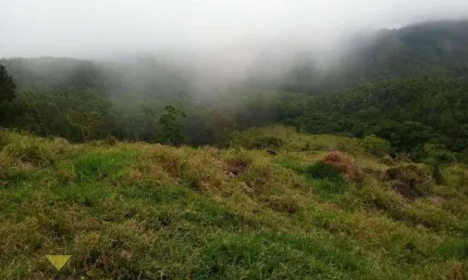 Terreno Residencial à venda, Nha Luz, Salesópolis - TE0215.