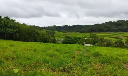 Sítio à venda, 20000 m² por R$ 2.000.000,00 - Taiacupeba - Mogi das Cruzes/SP