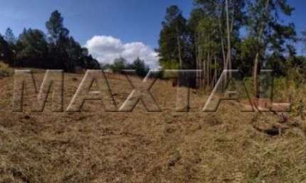 Terreno com área de 2000² Bairro Royal Park  Avaré SP