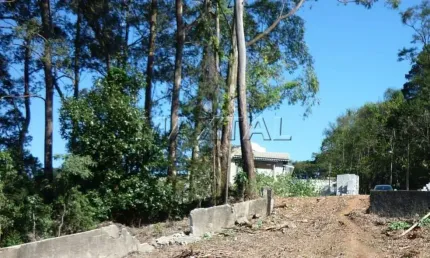 Terreno 1089m² em rua residencial a venda, no bairro de jardim ibiratiba, região do tremembé.