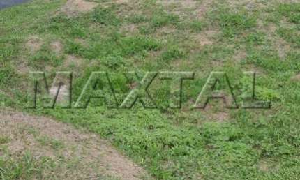 Terreno de 300m² no Condomínio Mirante do Horto. Pronto para Construir com Projeto e Alvará Aprovado