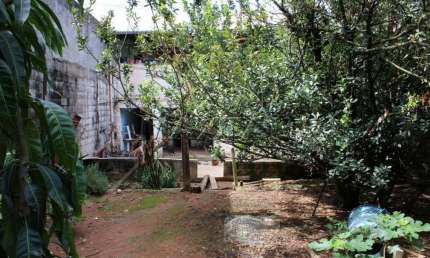 Casas, na Zona Norte, Bairro Jardim Alvina, com 5 Dormitórios, 5 Vagas de Garagem com 425m²..
