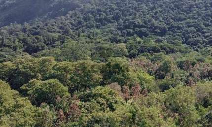 Apartamento com 3 quartos à venda na Estrada dos Bandeirantes, Camorim, Rio de Janeiro, 58 m2 por R$ 420.000