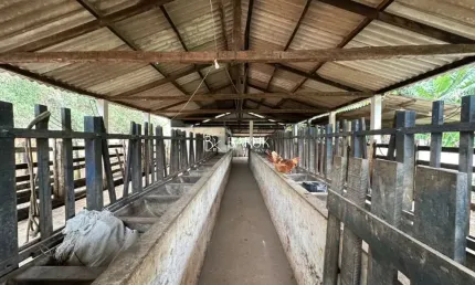 Fazenda de Luxo à Venda em Torreões-MG: 3 Quartos, 1 Suíte, 2 Salas, 4 Banheiros e 90 hectare  de Área