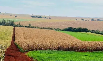 Sítio à venda, 121000 m² por R$ 4.000.000,00 - Prq Ind 200 - Maringá/PR