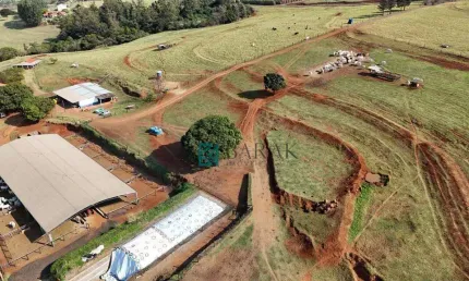Sítio com 3 dormitórios à venda, 242000 m² por R$ 5.000.000,00 - Centro - Mandaguari/PR