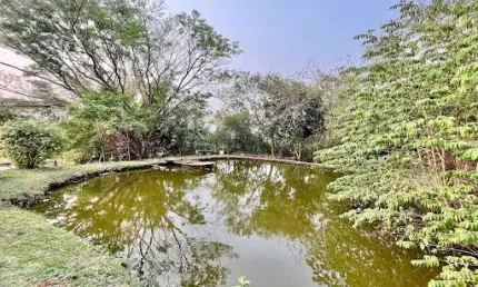 Chácara com 1 dormitório à venda, 3000 m² por r$ 530.000,00 - zona rural - marialva/pr