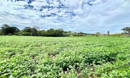 Terreno à venda, 66000 m² por R$ 8.000.000,00 - Vale Azul - Sarandi/PR