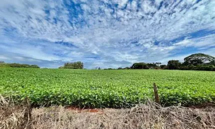 Terreno à venda, 66000 m² por r$ 8.000.000,00 - vale azul - sarandi/pr