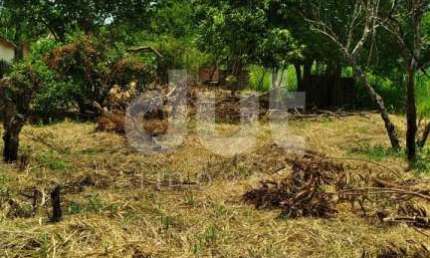 Terreno comercial à venda na Rua Francisca Alves do Pinho, 491, Jardim Nova Esperança, Campinas por R$ 790.000