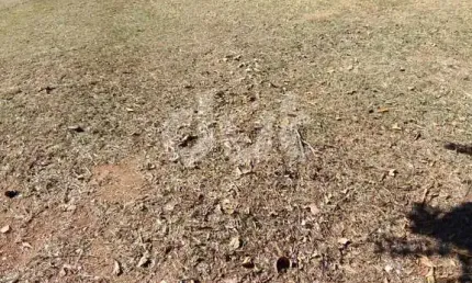 Terreno em condomínio fechado à venda na Rua Mariazinha Leite Campagnolli, 470, Parque Xangrilá, Campinas por R$ 890.000