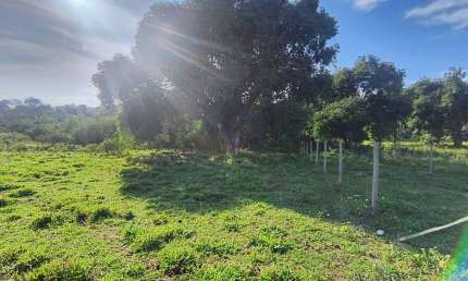 Terreno para Venda em Saquarema, Água Branca (Bacaxá)