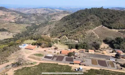 Fazenda produtiva à venda, 242 hectares por r$ 25.000.000 - espírito santo do pinhal/sp